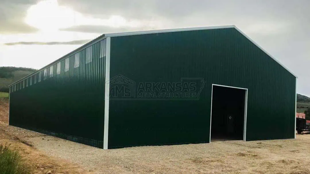 60x100x18 Metal Warehouse